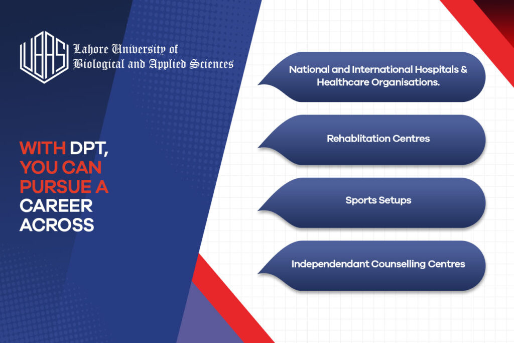 Career Development of DPT Admissions 2025 
