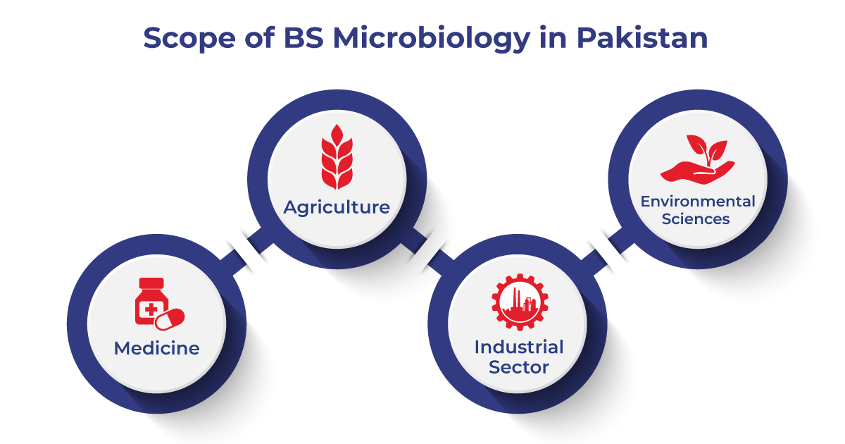 enrol-for-a-top-notch-bs-microbiology-degree-at-lahore-ubas-ubas