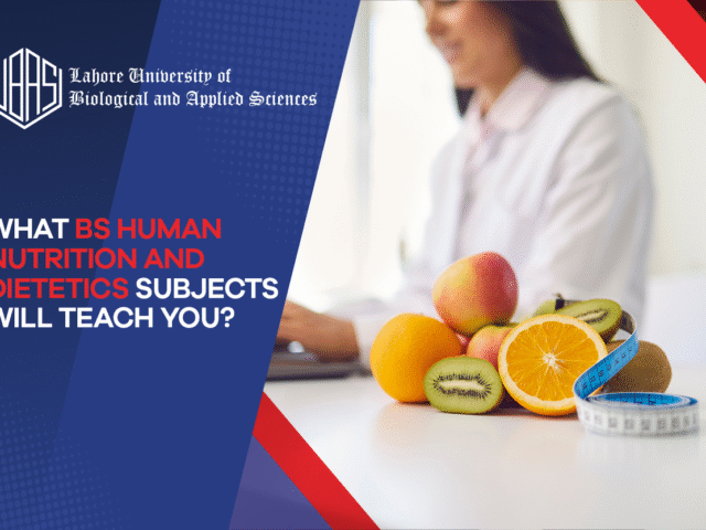 What BS Human Nutrition and Dietetics Subjects Will Teach You?